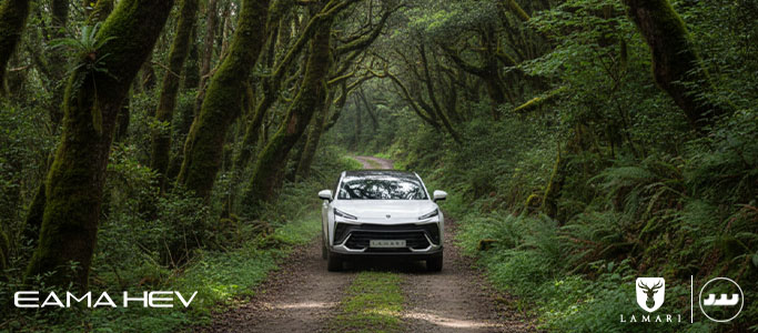 Lamari Eama Hev عملکرد فنی