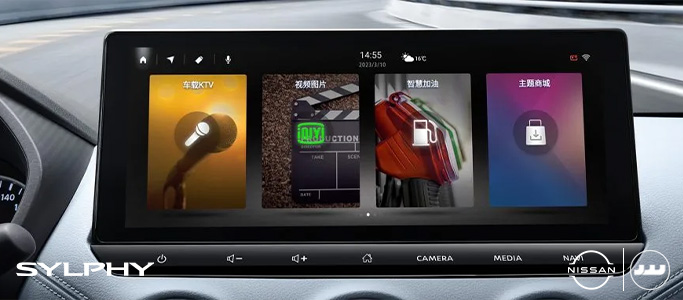 امکانات و آپشن های نیسان سیلفی